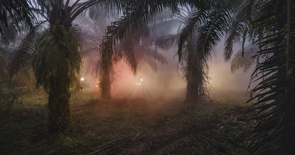 Thumbnail for An Invitation to Disappear