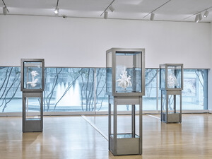 Thumbnail for Exhibition: Concentrations 63: Julian Charrière, Towards No Earthly Pole, Dallas Museum of Art