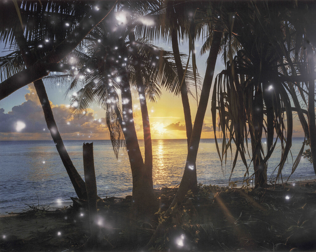 Thumbnail for First Light