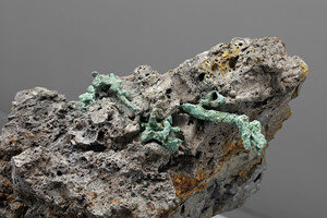 Thumbnail for Metamorphism