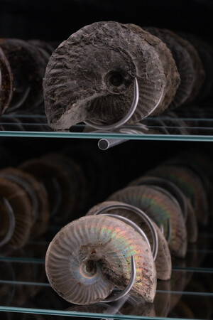 Thumbnail for Spiral Economy, 2025