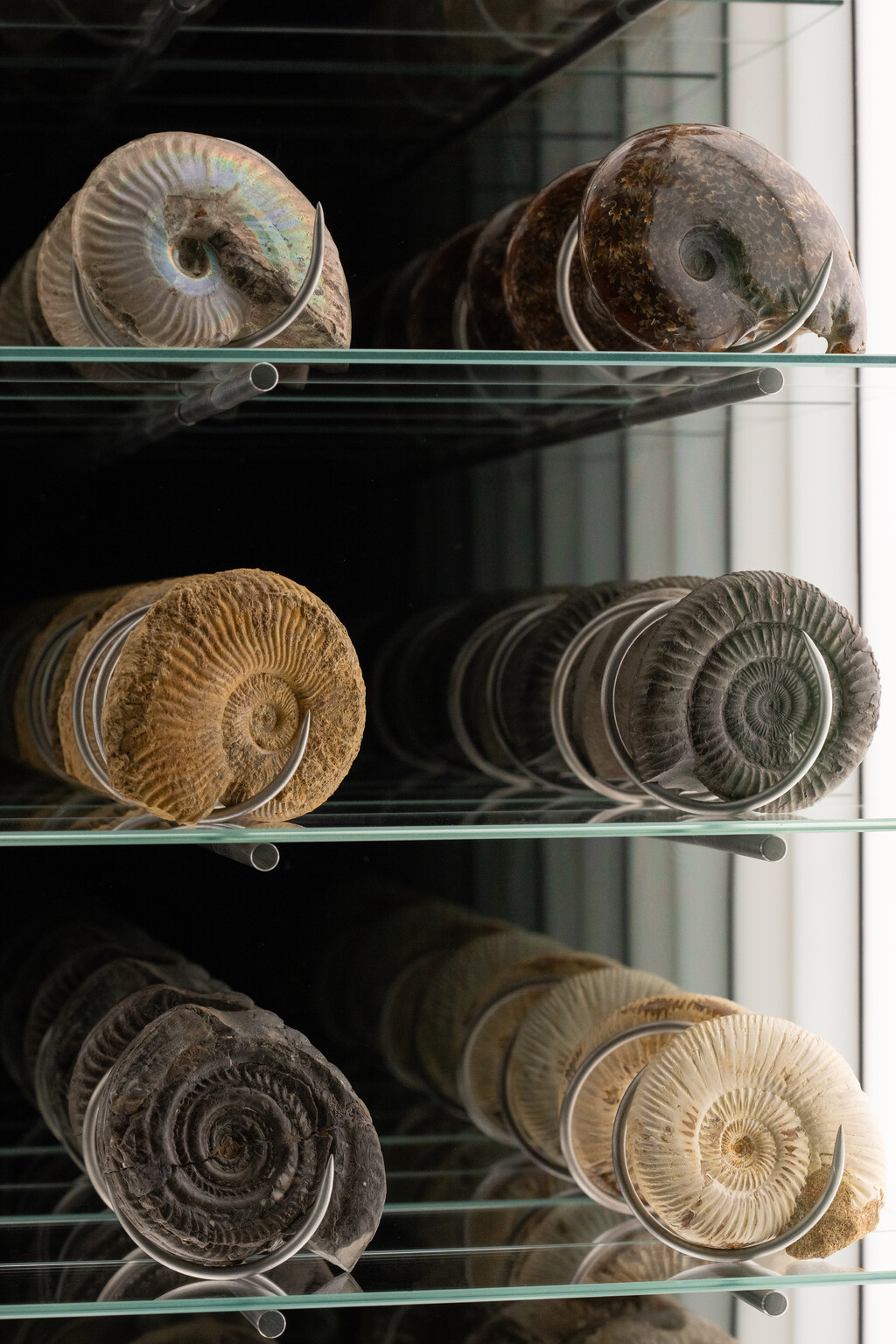 Thumbnail for Spiral Economy, 2025